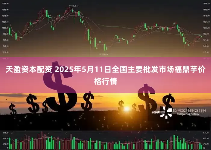天盈资本配资 2025年5月11日全国主要批发市场福鼎芋价格行情