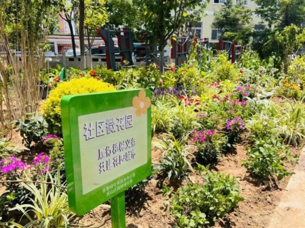 牛金所配资 “小花园” 大民生！房山高质量建成5个市级社区微花园